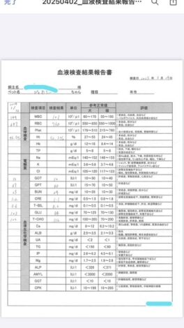 １５歳と７か月の血液検査