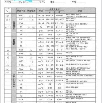 15歳と7か月の血液検査