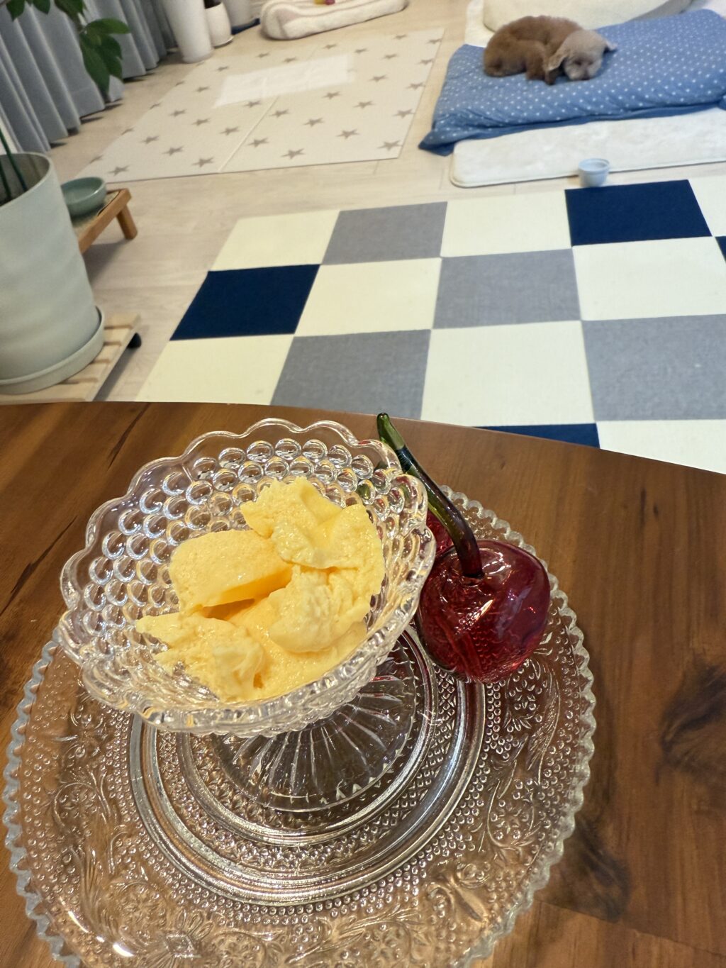 小さくして器にもった、ワンコ用プリン