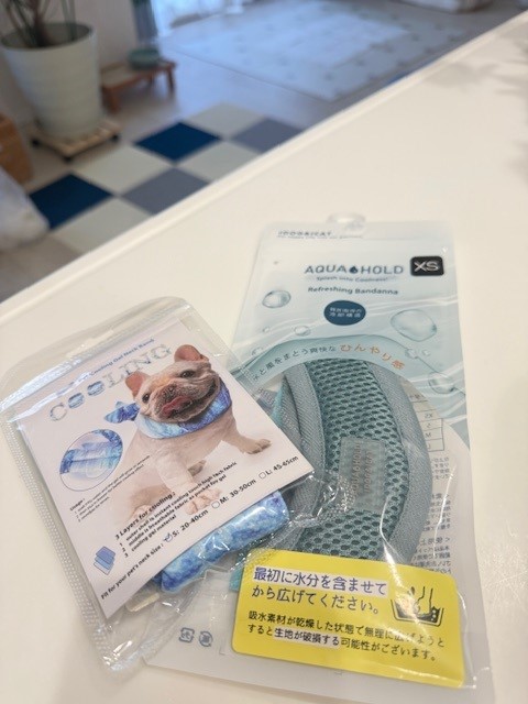 画像 今年購入した2本のクールネック