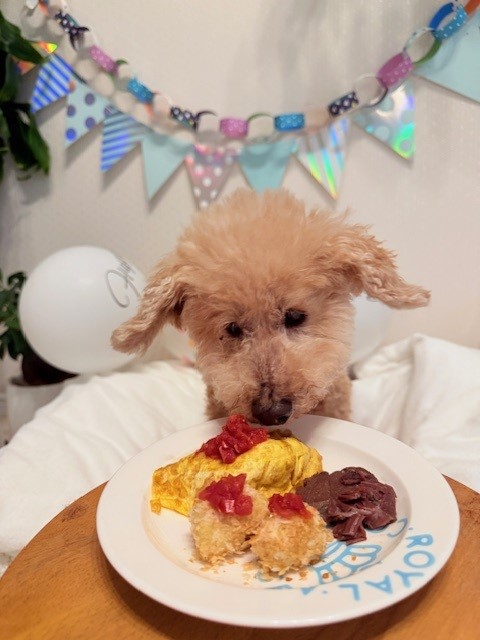 画像 お子様ランチ風のお誕生日ご飯