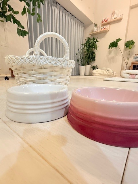 画像 以前に使ってたフードボール