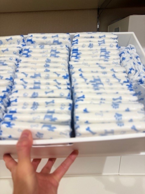 画像 おうち用のマナーベルト(おむつ)