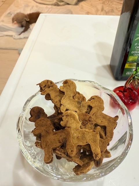 画像 さつまいもクッキー越しのシニア犬ぴゅあてぃ
