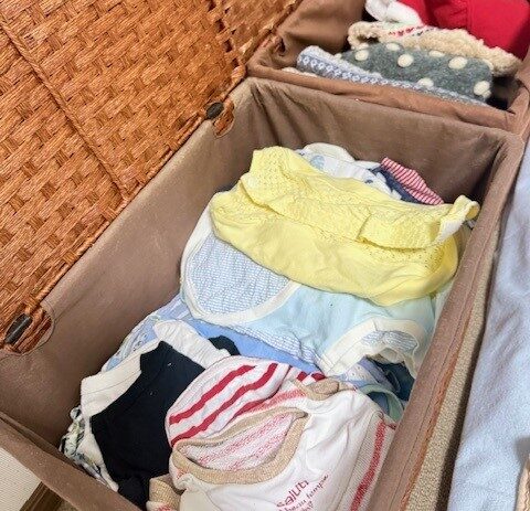 １６歳シニア犬のお洋服事情