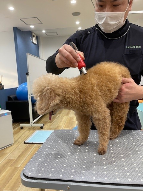 画像 整体の最後の方は機械も活躍します