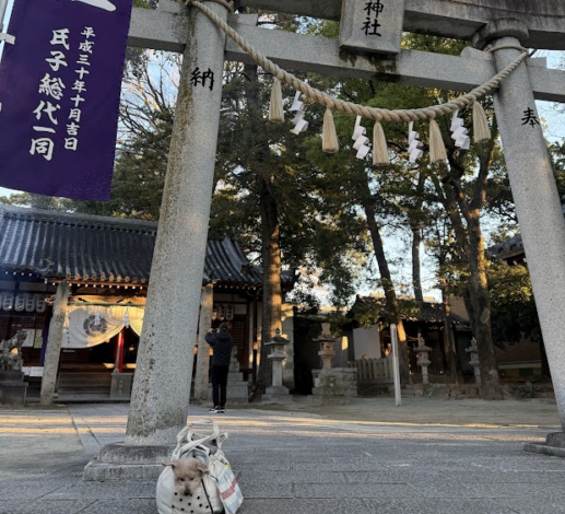 毎年恒例のぴゅあてぃとの初詣