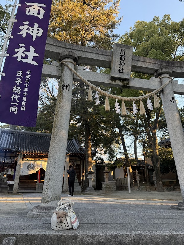 ぴゅあてぃと初詣