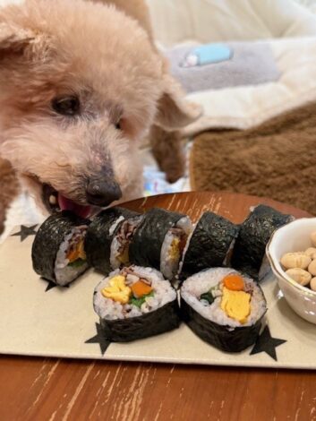 恵方巻を１個持っていこうとしてるシニア犬