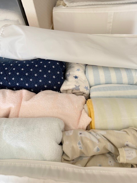 シニア犬の夏用のブランケットを出します