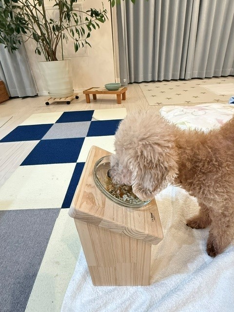 食事中のぴゅあてぃ横から