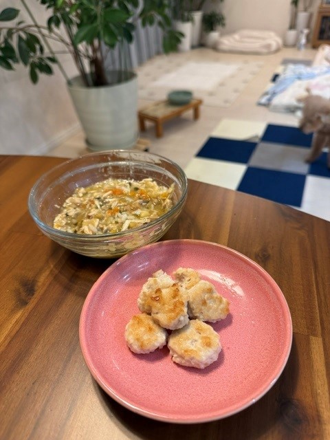 いつものつゆだくご飯にハンバーグを添えて